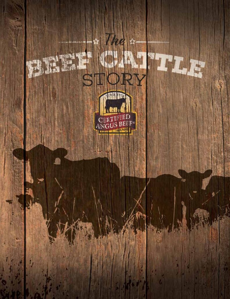 thumbnail of BEEF CATTLE STORY POS