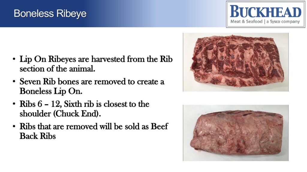 thumbnail of Ribeye Training Tips